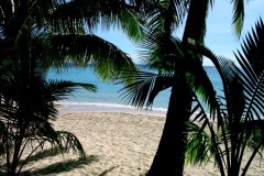 CW Samoa 1 192