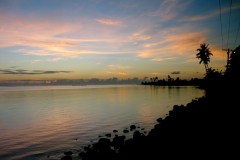 IMG_5893.JPG